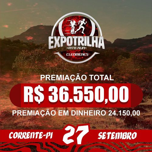 OK-500-de7dc46e-6e3a-4a10-a661-5a4962a824d1